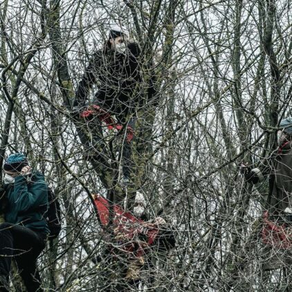 Drei Jugendliche besetzen Bäume, die unmittelbar vor der Rodung stehen.
