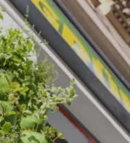 Nahaufnahme von verschiedensten Pflanzen, die in kleinen Stofftaschen die Fassade des Gr&uuml;nen Pop Up Stores entlang wachsen