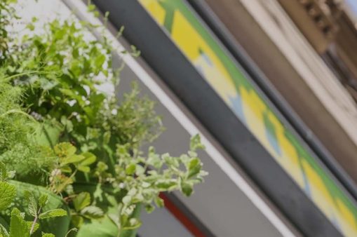 Nahaufnahme von verschiedensten Pflanzen, die in kleinen Stofftaschen die Fassade des Gr&uuml;nen Pop Up Stores entlang wachsen