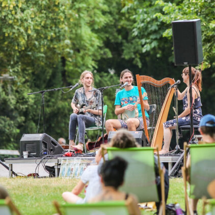 Foto eines Konzertes bei Wien am Fluss