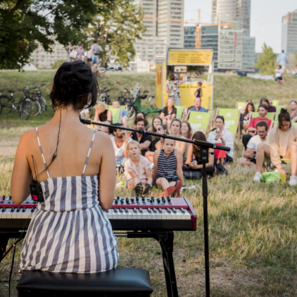Foto eines Konzertes auf der Donauinsel