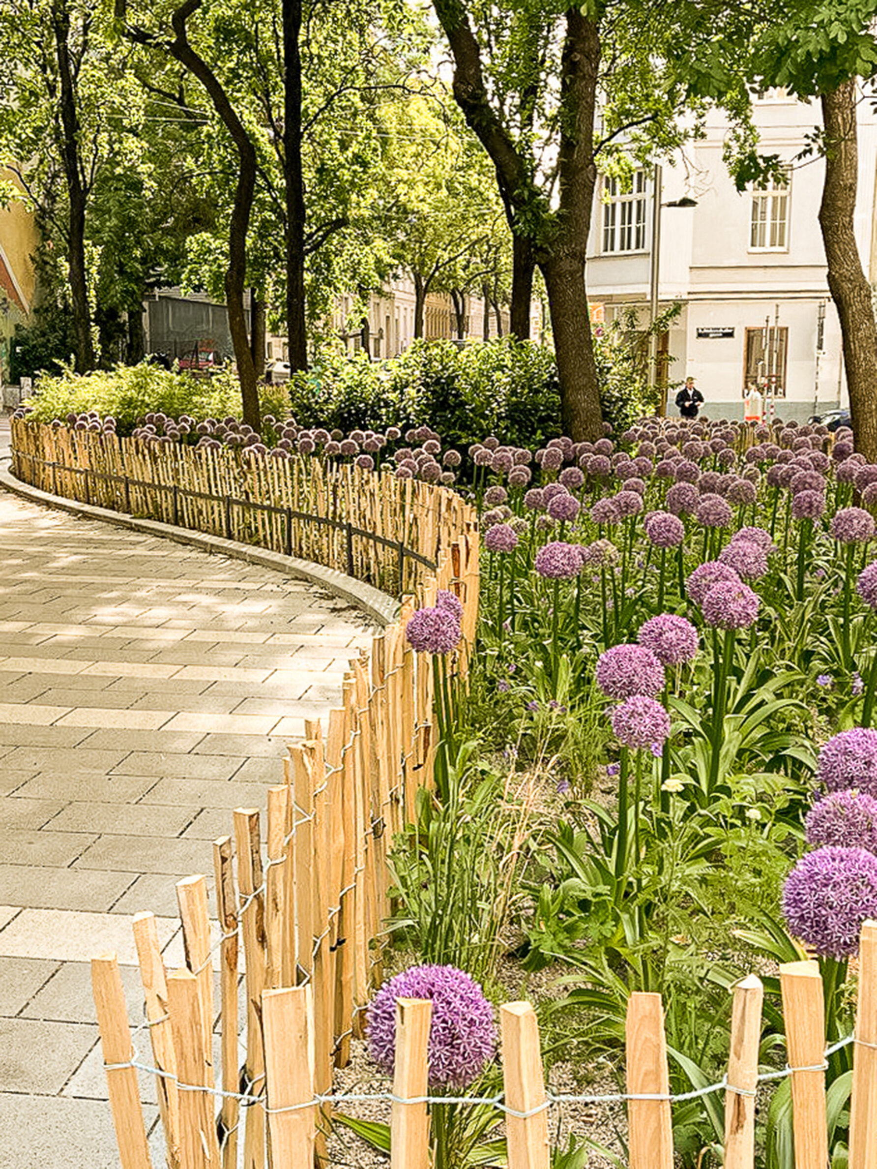 Foto der Pfeilgasse in der Josefstadt